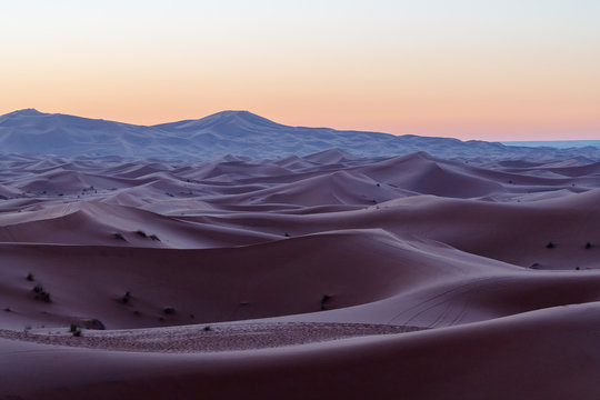 Sahara Desert, Morocco
