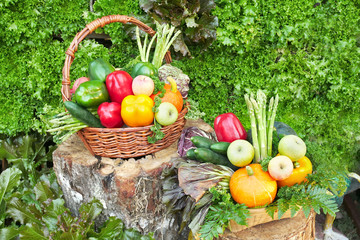 pile of mix vegetable and fruit in the basket place on the stump. selective focus
