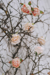 Pink and cream peonies in a pink vase. Next delicate birdcages.