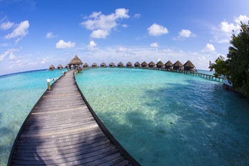 Fototapeta premium Maldives