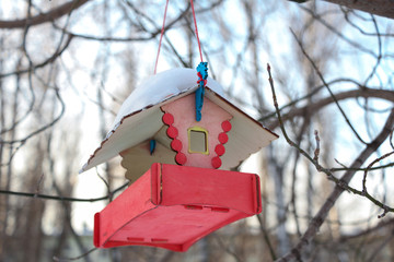 bird house on the tree