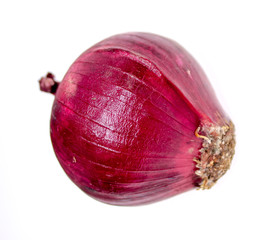  Red onion on white background