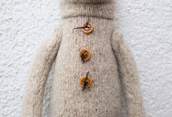 toy in a sweater
