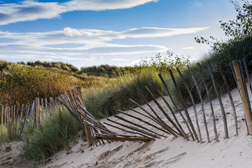 Sand dunes and fences