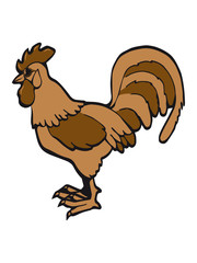 Rooster farm sunglasses