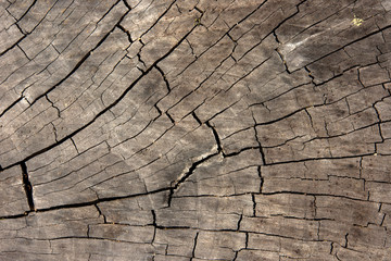 Old wood background texture, wallpaper.