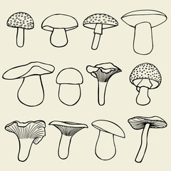 Set with a variety of vintage mushrooms.