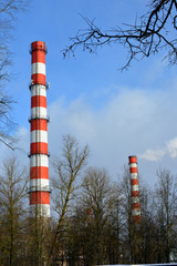 red pipes with a white thermal power plant against the blue sky and branches, industry