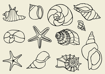 Set of vector vintage seashells