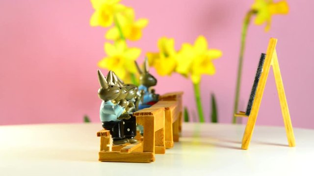 Osterhasen auf der Schulbank