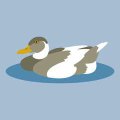 duck vector illustration style Flat