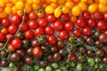 Raw and ripe fresh cherry tomatoes