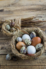 Easter eggs in the nest on rustic wooden background