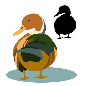 duck vector illustration style Flat set silhouette