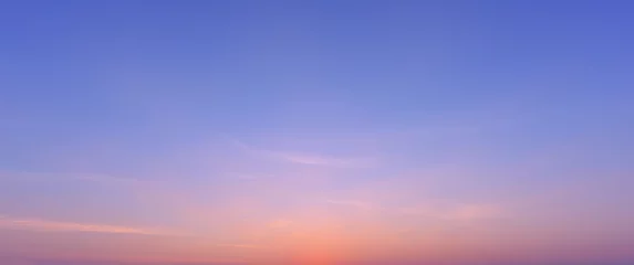 Meubelstickers Panorama sunset sky background © yotrakbutda