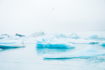 Fototapeta na wymiar Jokulsarlon glacial lagoon, South Iceland