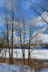 Foto auf Leinwand beautiful winter landscape: trees, snow, Frozen River and blue sky, suburb  © alex2016