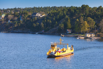 Fototapeta na wymiar Yellow Ro-Ro cargo ship crossing the bay