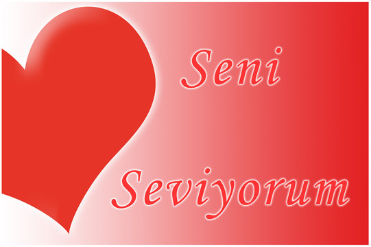 seni seviyorum