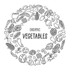 Vector illustration with hand drawn vegetables and lettering