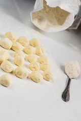 Fototapeta na wymiar Raw dumplings with cottage cheese