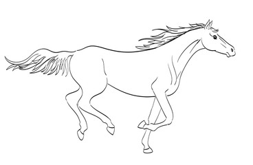 Obraz na płótnie Canvas running horse outline in line art style. vector illustration