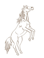 Obraz na płótnie Canvas Rearing up horse vector in line art style
