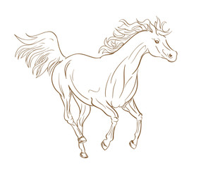 Obraz na płótnie Canvas running horse outline in line art style