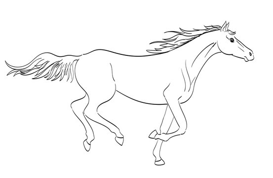 running horse outline in line art style. vector illustration