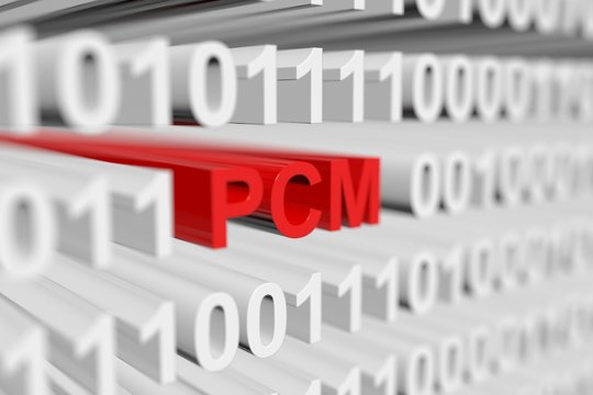 「Pcm」の写真素材 | 435件の無料イラスト画像 | Adobe Stock
