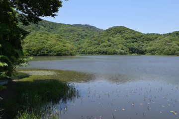 ラムサール条約登録地 大山上池・大山下池 ／ 山形県鶴岡市大山にある灌漑用のため池です。国指定の鳥獣保護区と特別保護地区に指定され、さらに国際的に重要な湿地を保全する「ラムサール条約」にも登録されました。また、2010年には農林水産省の「ため池百選」にも選定されています。