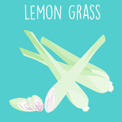 fresh lemon grass plant and slice vector