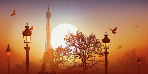 Obraz premium Wieża Eiffla - Champ de Mars - Zachód słońca - Gołąb