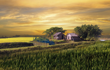 Beautiful huts in the village of bangladesh during sunset