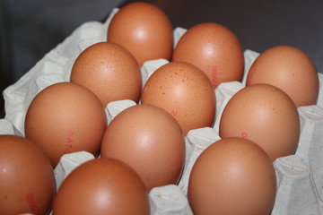 Frische Eier in einem Eierkarton