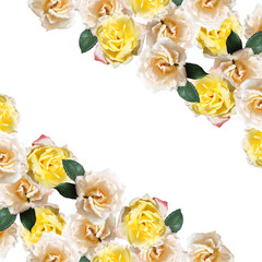 Beautiful floral background with yellow and cream roses 