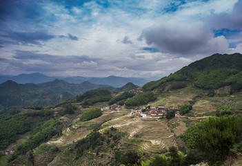 terraced fields