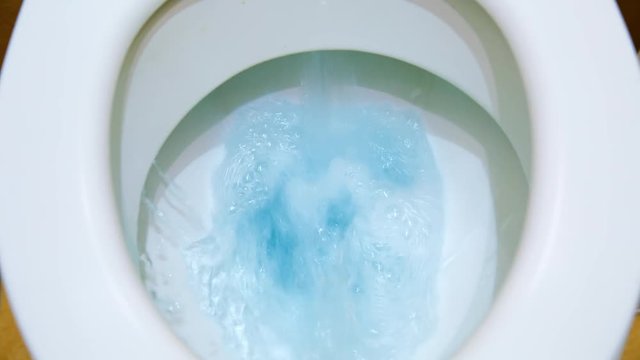 the toilet, flush the toilet