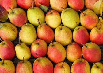 Fresh ripe red organic pears. Autumn nature concept. Natural background. Top view.