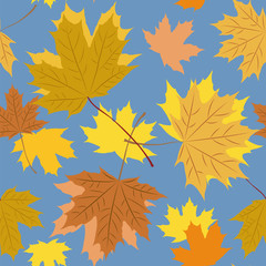Naklejka na ściany i meble Seamless pattern with autumn maple leaves on a blue background.