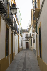 Fototapeta na wymiar Cordoba (Andalucia, Spain): street