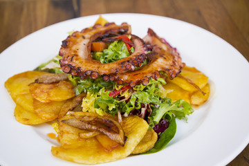 Colorful and tasty octopus salad