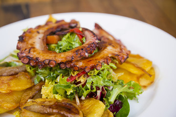 Colorful and tasty octopus salad