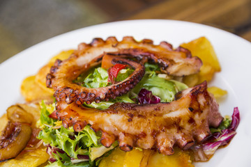 Colorful and tasty octopus salad