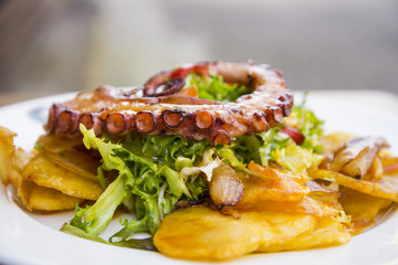 Colorful and tasty octopus salad