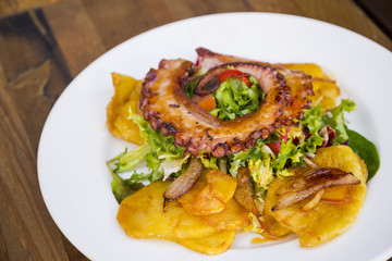 Colorful and tasty octopus salad