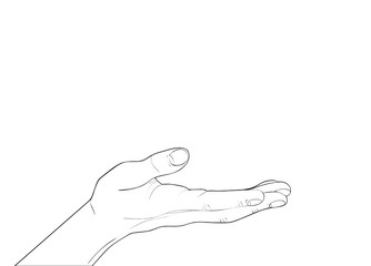 Gesture open palm. Hand gives or receives. Contour graphic style