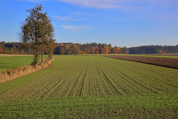 Herbst Landschaft