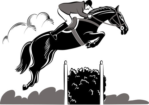 Horse and rider during a jumping competition hurdles.