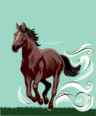 Horse running free in the wind.